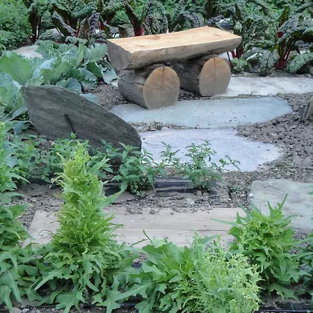 Osteria Del Centro Frühstückspension