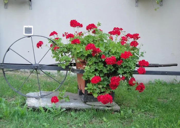 Bed & Breakfast Osteria Del Centro