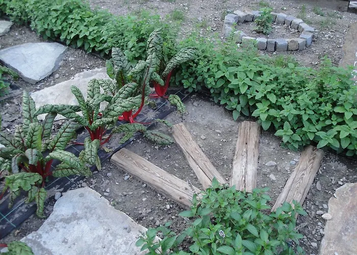 Osteria Del Centro فندق مبيت وإفطار 3*