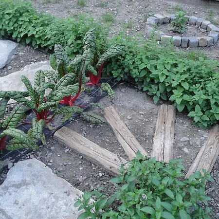 Osteria Del Centro Bed and breakfast 3*